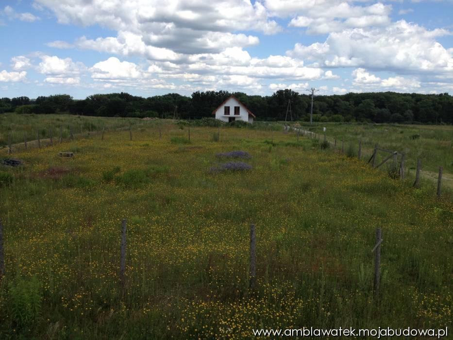 blog budowlany - mojabudowa.pl